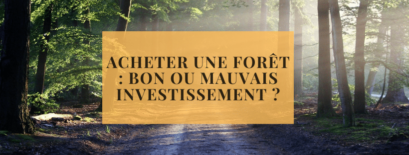 Acheter une forêt bon ou mauvais investissement