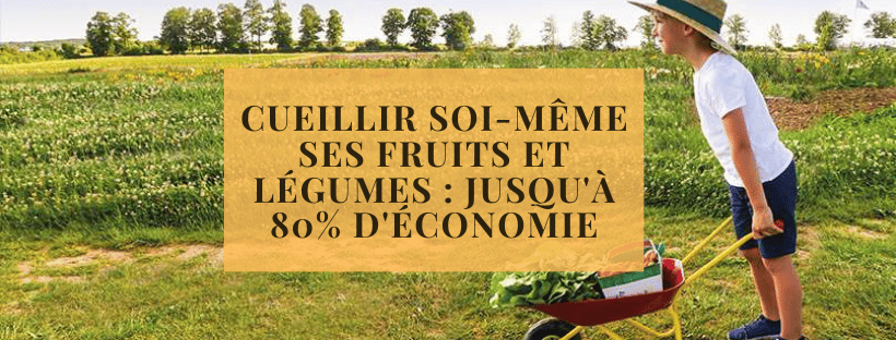 Cueillir soi-même ses fruits et légumes : jusqu'à 80% d'économie